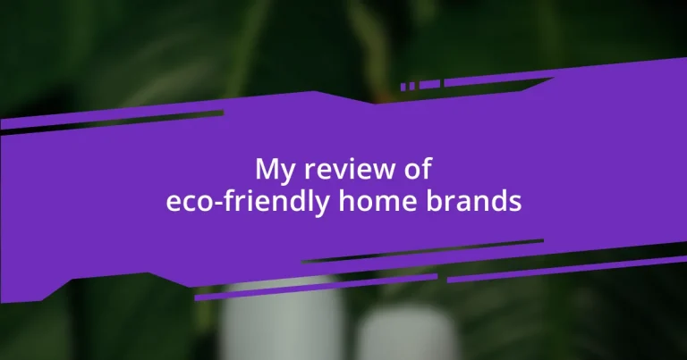 My review of eco-friendly home brands